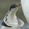 thatb0ymike