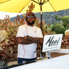 DJ Meel