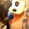 Yuk Nassty-Get In Da Corner podcast