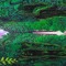 Noon - Ome trips
