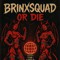 *Brink Gzz+