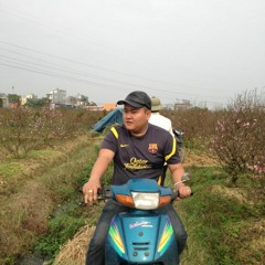 tung trinh