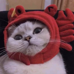 Nàng thơ Amee