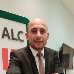 محمود البشبيشي