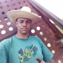 joao vitor