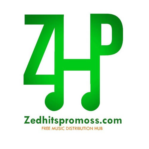 Zed Hits Promos’s avatar