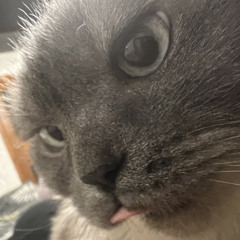 sekairu
