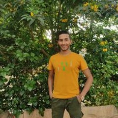 Mohamed Mashaly