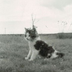 kanja