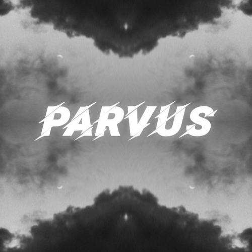PARVUS’s avatar