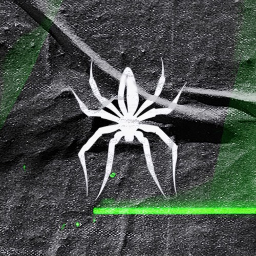 Spider Group’s avatar