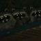 fear jabir