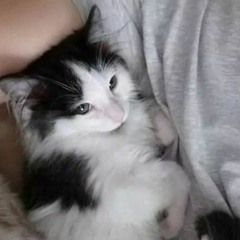 soph