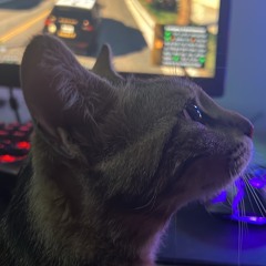cerealkiller