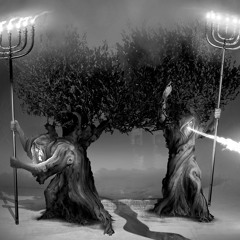 Two Witnesses