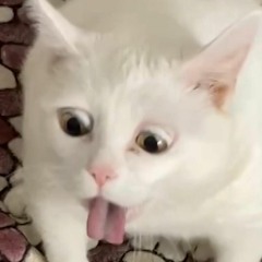 alik