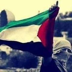 هيثم الحضري