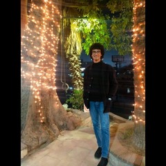 Kamel Mohamed