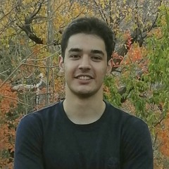 seyyedmahdi sarfarazi