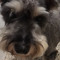Roxane