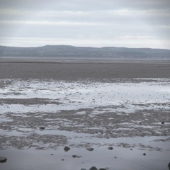 Jez Parkins - Improvisations