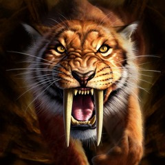 عبدالرحمن عماد