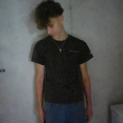 luke steiner