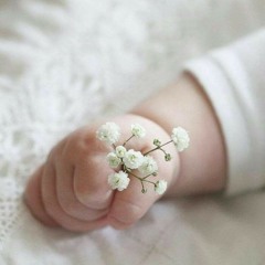 شهد عبد الفتاح