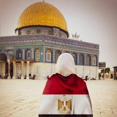 Heba Rabea