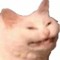 BurnedWaffle