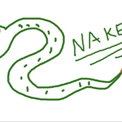 2Nake