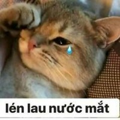Quý Fa