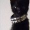 meoww
