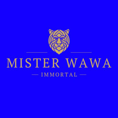 Mister Wawa