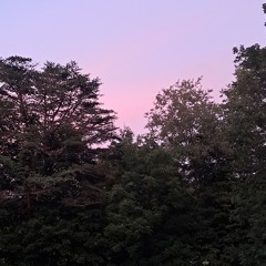 Barry and the Triangles (again)