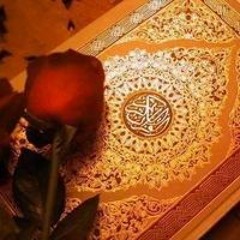 شيخ العمود 2