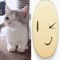willi