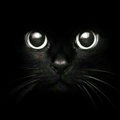 Fatima