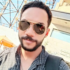 Tamer Amin Sidky