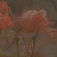 semo_7