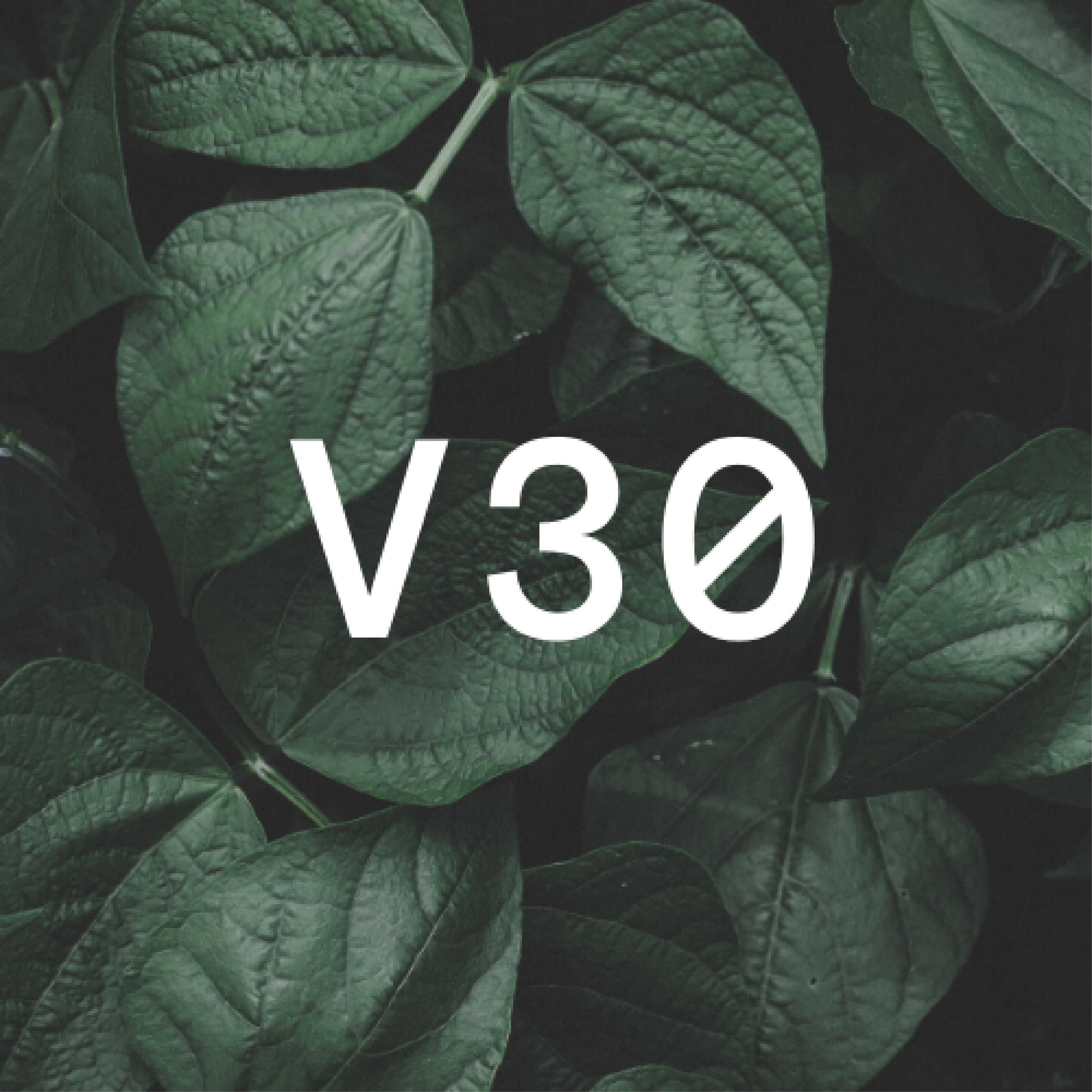 V30`s Deep/Future