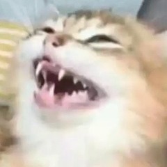 XxkawaiixX