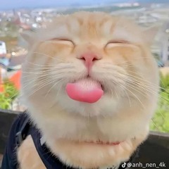 Vminh100706