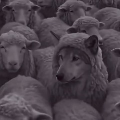 Furkanrocks