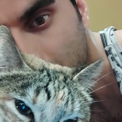 Kami Bashman