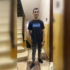 Ali Sameh Hammad