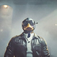 mr. duckk