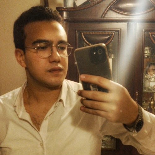 Tarek Ahmed Salah’s avatar