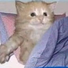 Oracion Al Sexo: SANTA CAMITA QUE ESTAS EN ELCUART