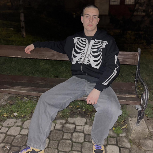 Cedomir Kostic’s avatar